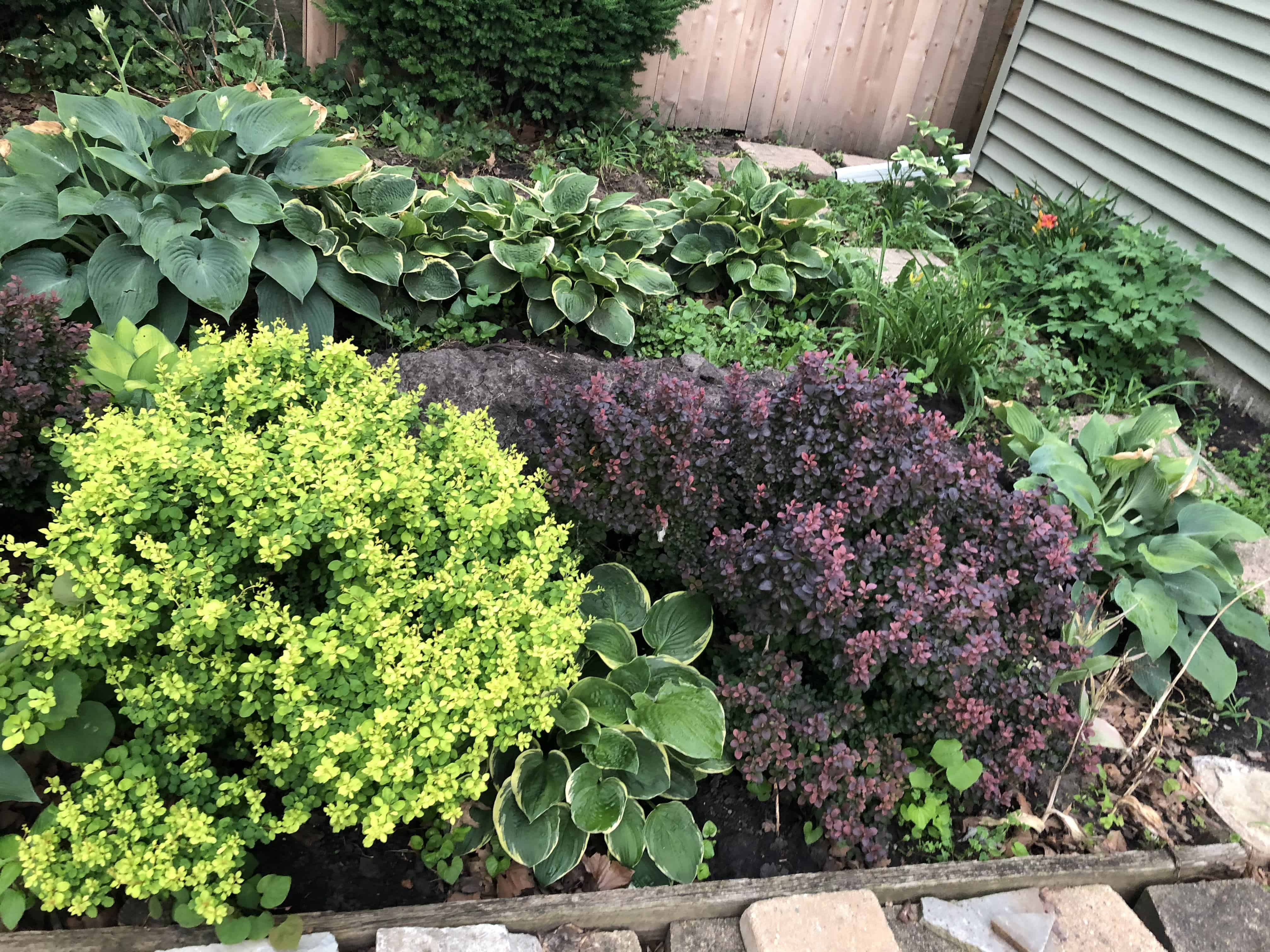 Landscaped Planter